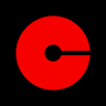 CFO Selections logo