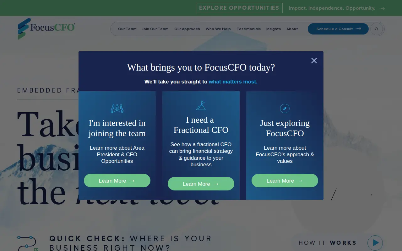 FocusCFO website homepage