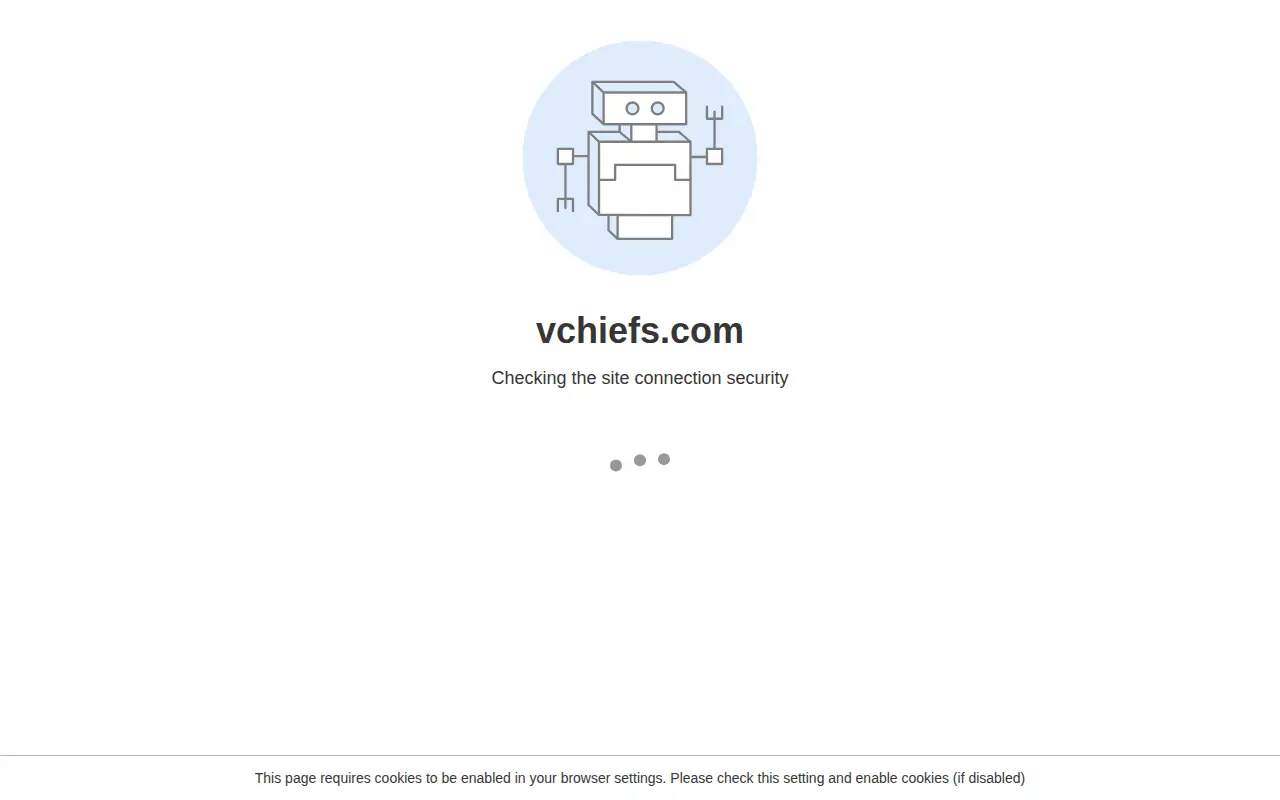 vChief website homepage